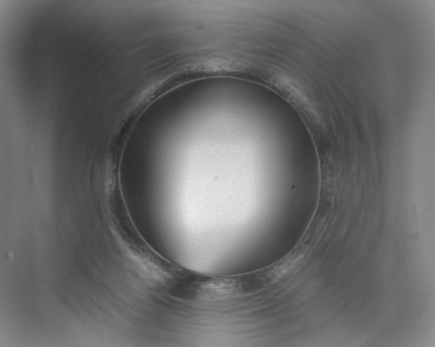 X0000075870164200609291623