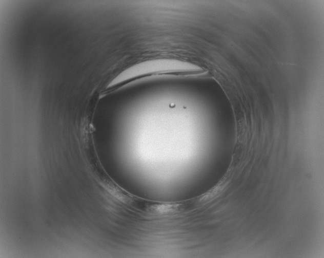 X0000075870184200609291623