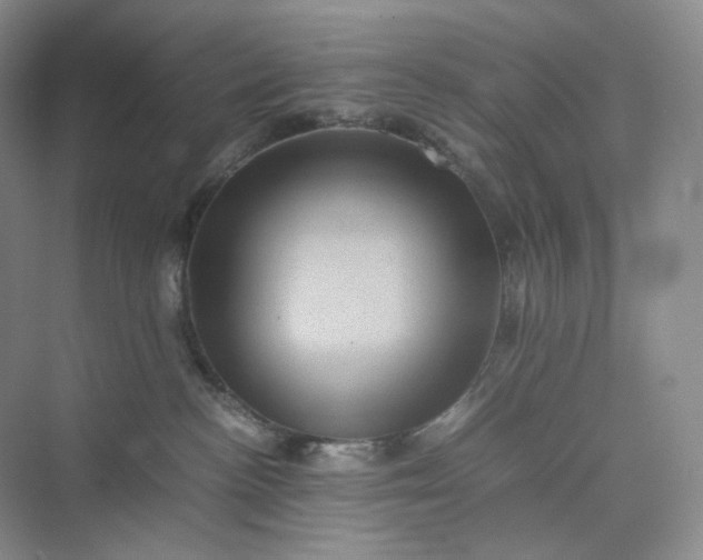 X0000075870188200609291623