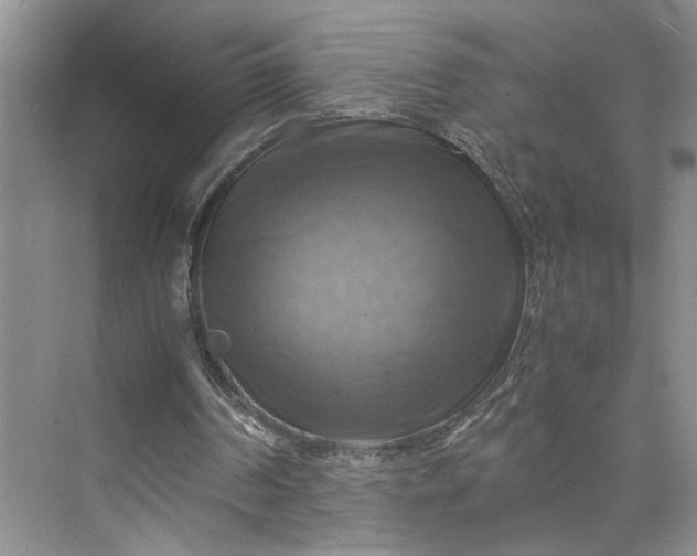 X0000075870194200609291623