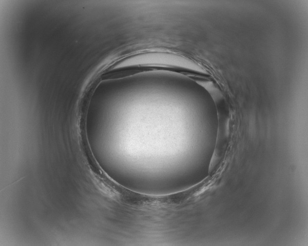 X0000075870197200609291623