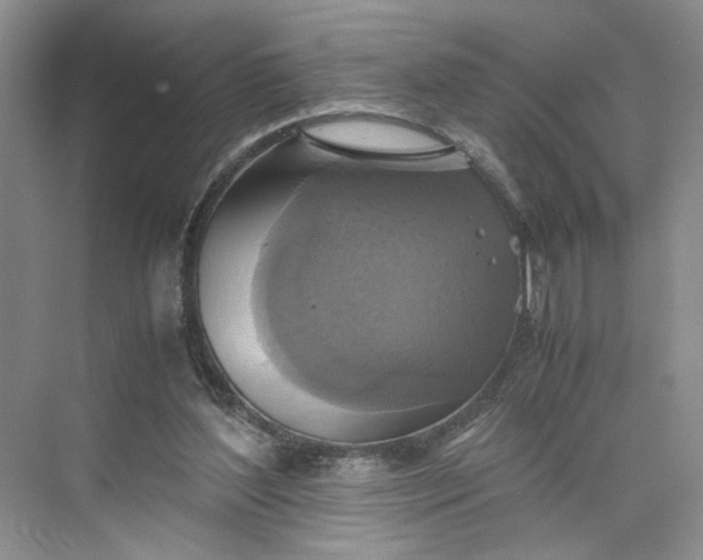 X0000075870204200609291622