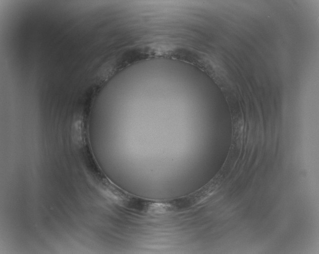 X0000075870222200609291622