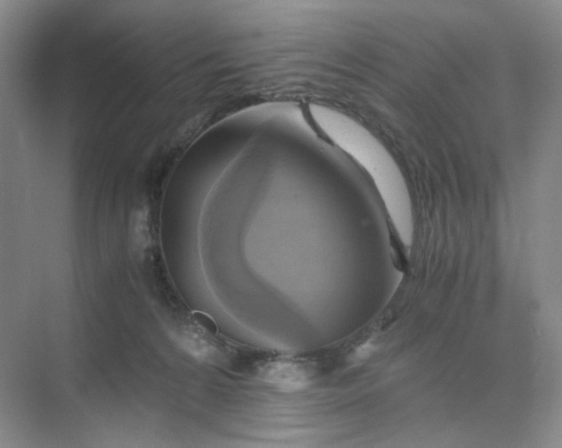X0000075870224200609291622