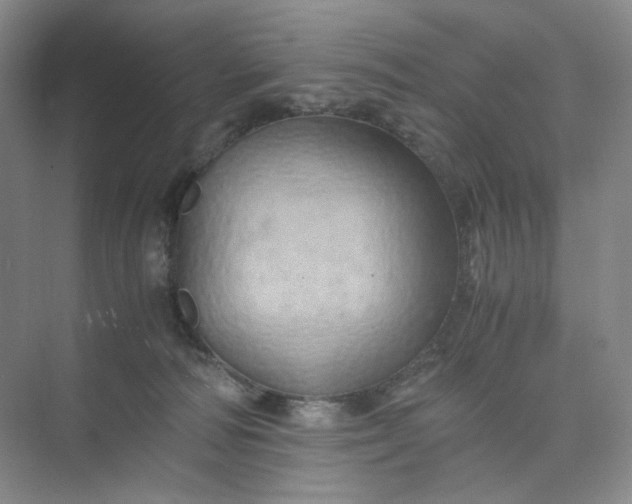 X0000075870226200609291622