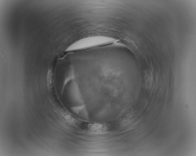 X0000075870230200609291622