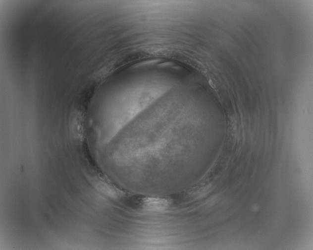 X0000075870234200609291622