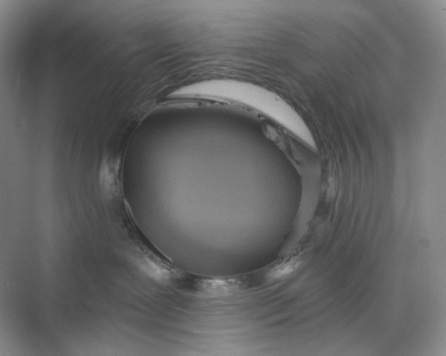 X0000075870239200609291622