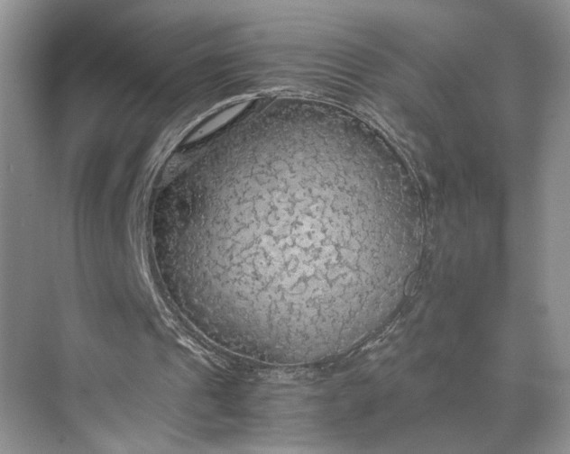 X0000075870241200609291621