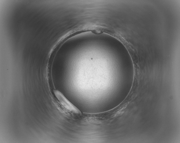 X0000075870244200609291621
