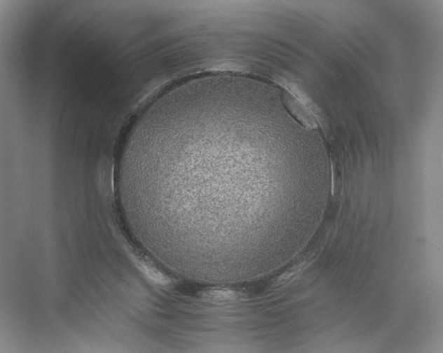 X0000075870253200609291621