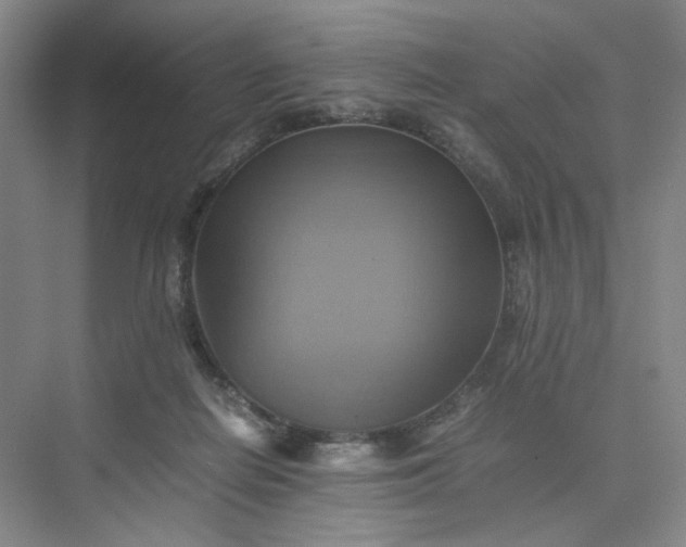 X0000075870266200609291621