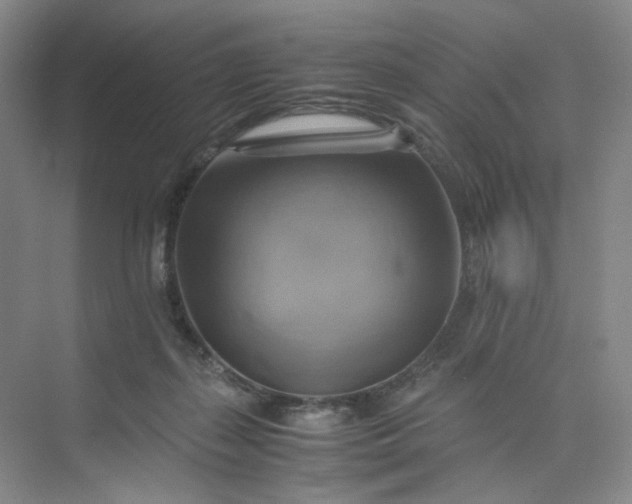 X0000075870267200609291621