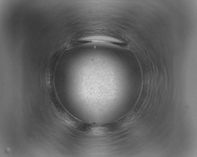 X0000075870268200609291621