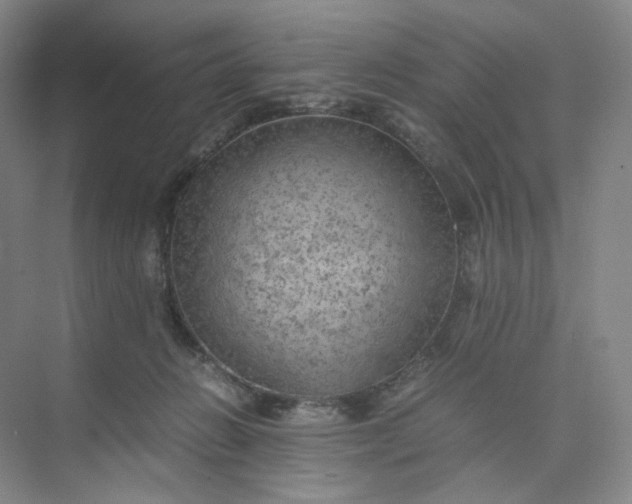 X0000075870270200609291621