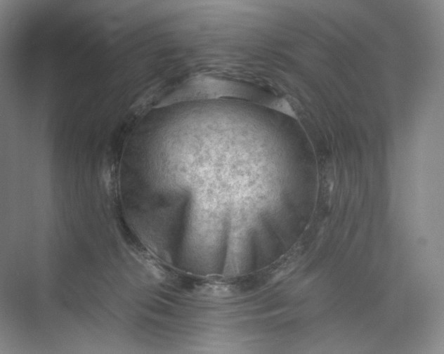 X0000075870276200609291622
