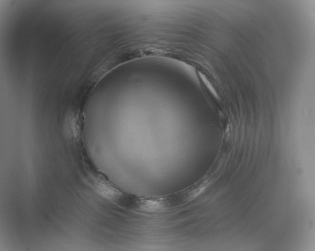 X0000075870285200609291622