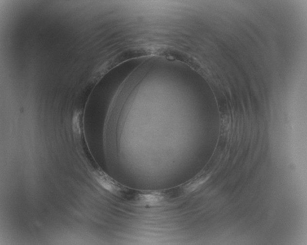 X0000075870286200609291622