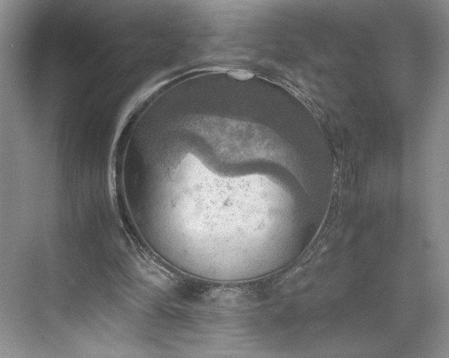 X0000075870294200609291621