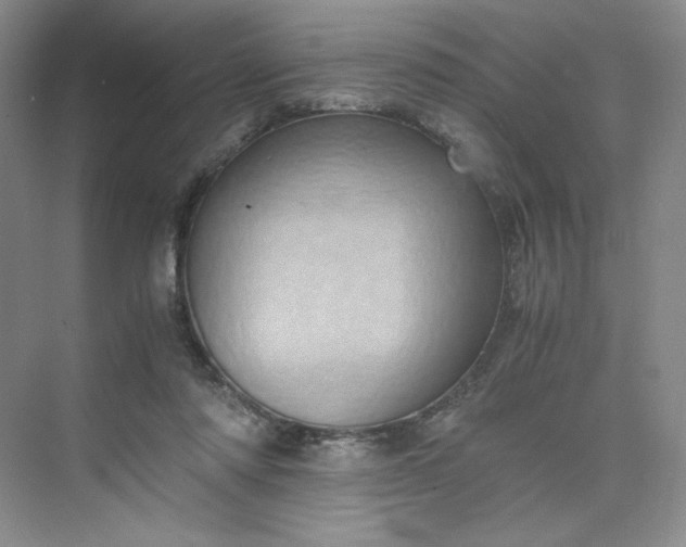 X0000075870310200609291621