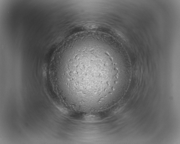 X0000075870315200609291621