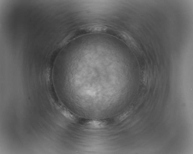 X0000075870326200609291620