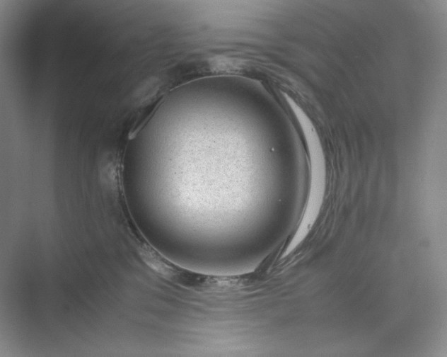 X0000075870329200609291620