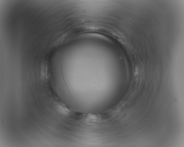 X0000075870330200609291620