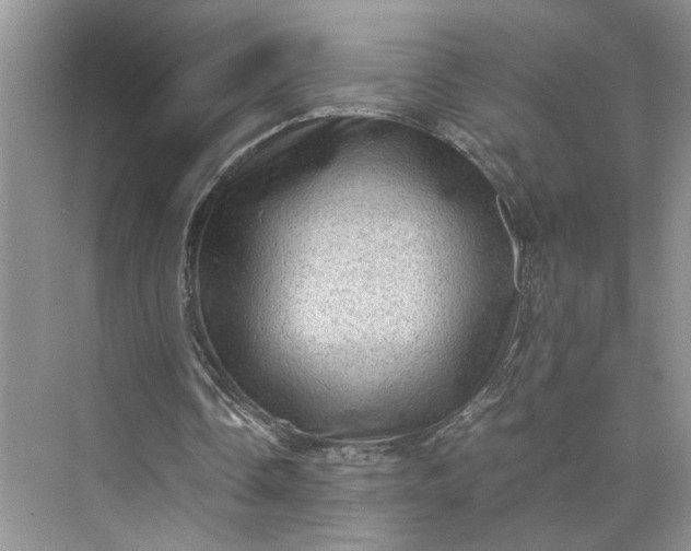 X0000075870338200609291619