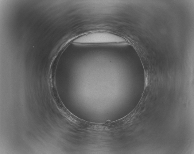 X0000075870339200609291619