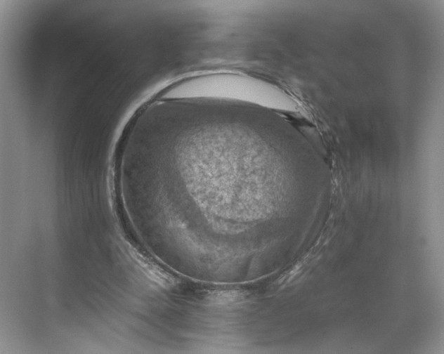 X0000075870342200609291619