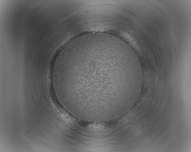 X0000075870354200609291620