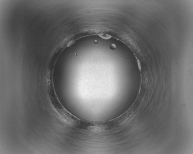 X0000075870356200609291620