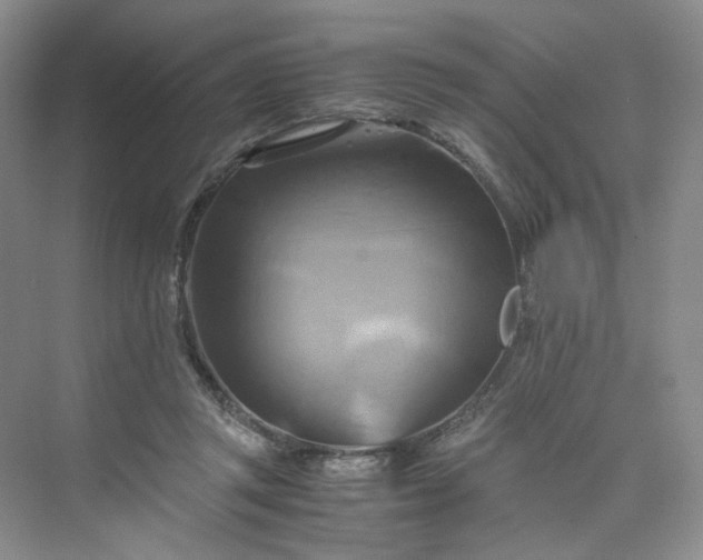 X0000075870357200609291620