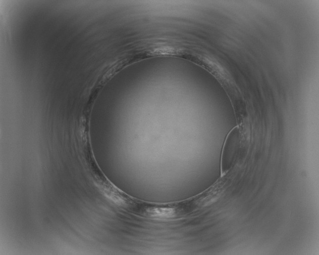 X0000075870361200609291620