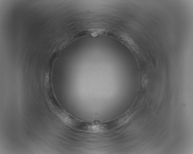X0000075870365200609291620