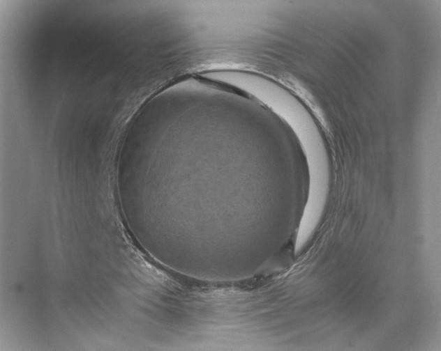 X0000075870385200609291619