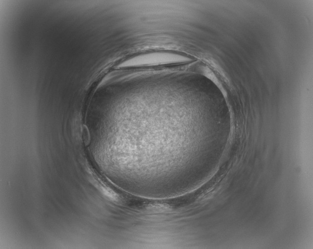 X0000075870397200609291619