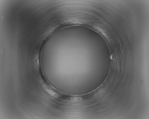 X0000075870398200609291619