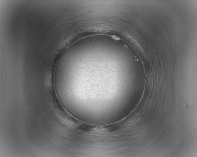 X0000075870403200609291619