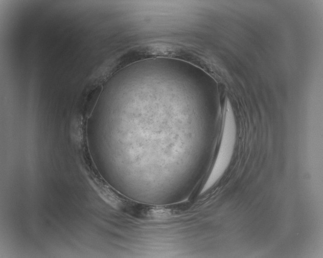 X0000075870413200609291619