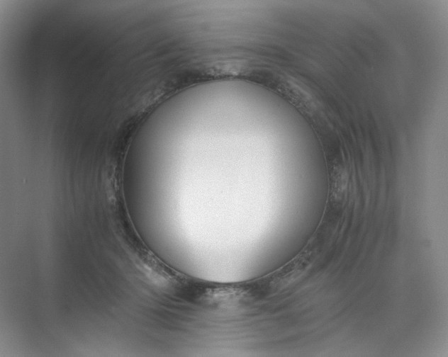 X0000075870414200609291619