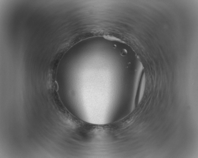 X0000075870416200609291619