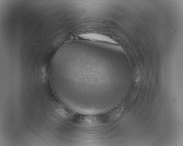 X0000075870420200609291619