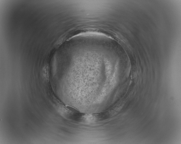 X0000075870425200609291619