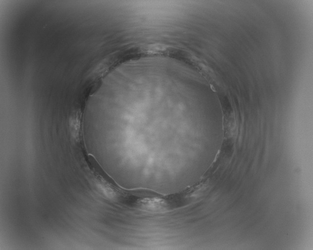 X0000075870427200609291619