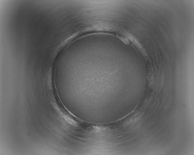 X0000075870442200609291618