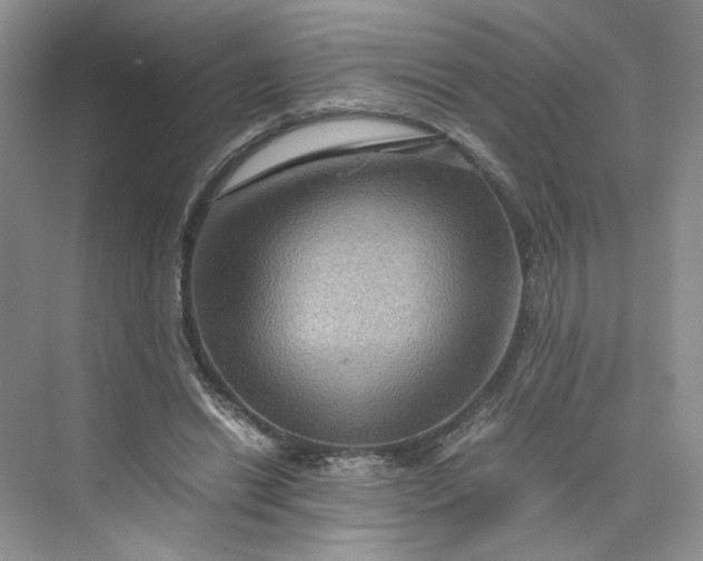 X0000075870446200609291618