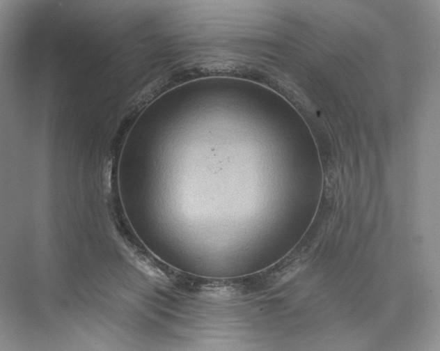 X0000075870454200609291618
