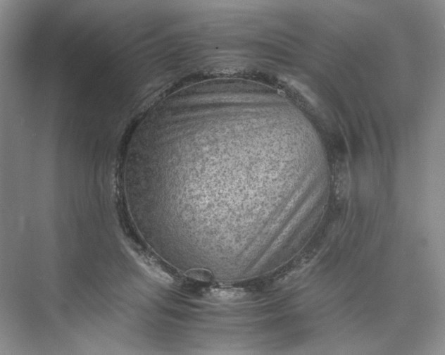 X0000075870455200609291618